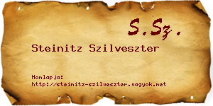 Steinitz Szilveszter névjegykártya